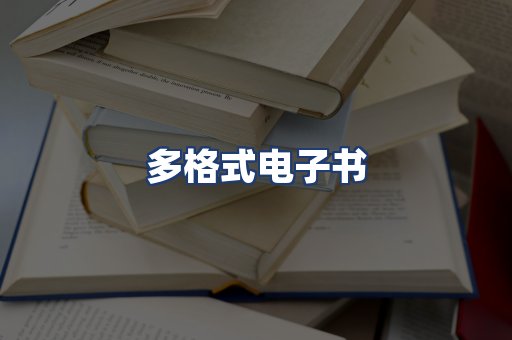 多格式电子书